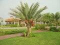 Umm Al Quwain Beach Hotel
