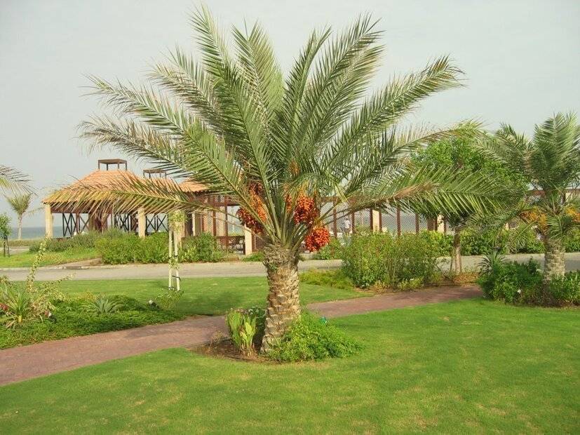 Umm Al Quwain Beach Hotel