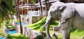 Amaryllis Resort & Spa