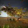Grand Hyatt Bali