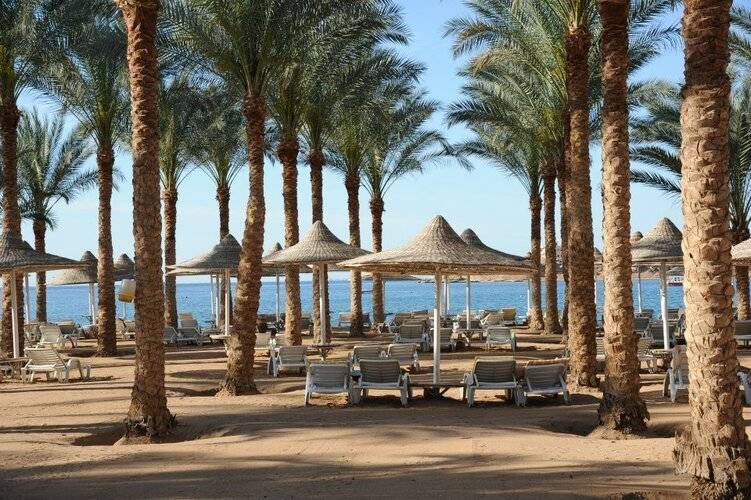 Seti Sharm