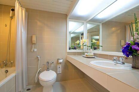 Ambassador City Garden Wing