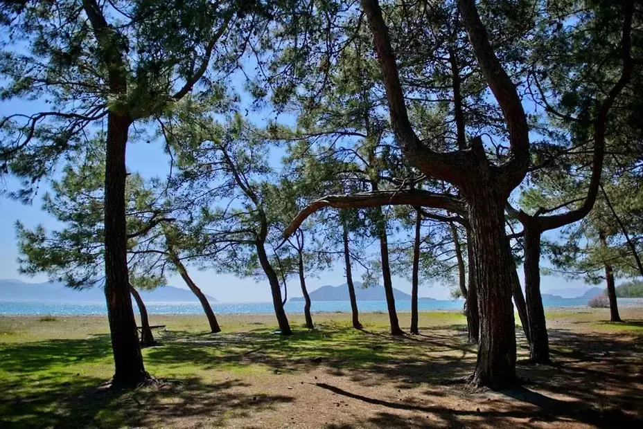 Akra Fethiye Tui Blue Sensatori (Ex.Tui Blue Sensatori Resort Barut Fethiye)