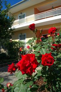 Omirikon Hotel & Apartments