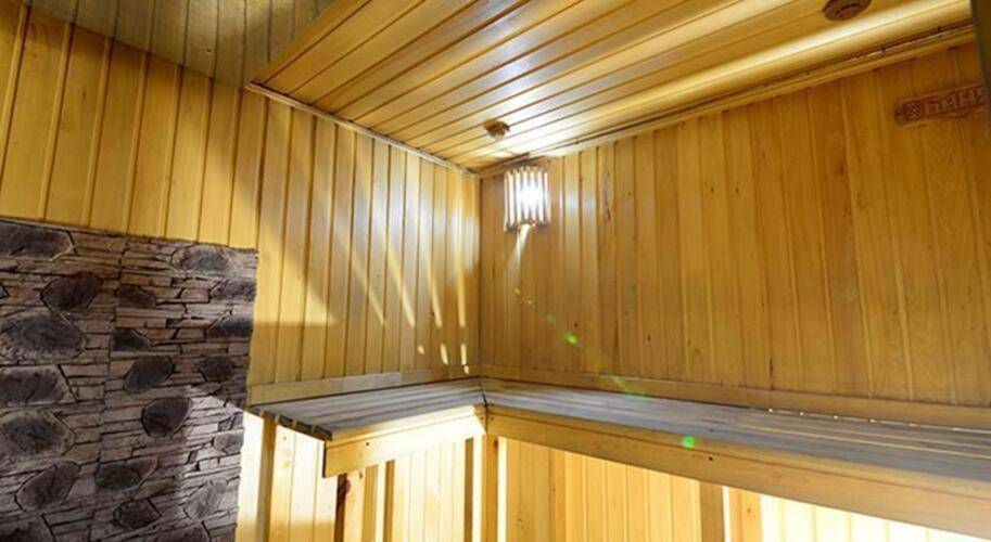 Золотой Лев