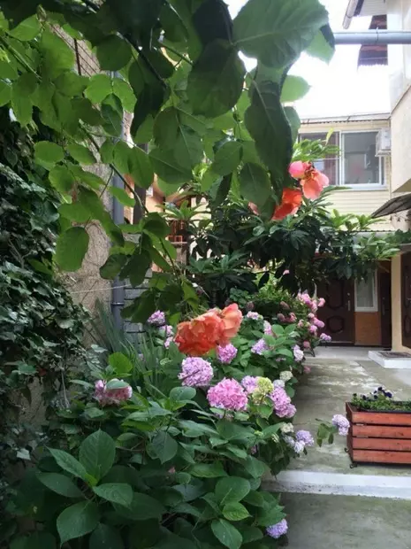 Отель Александрит