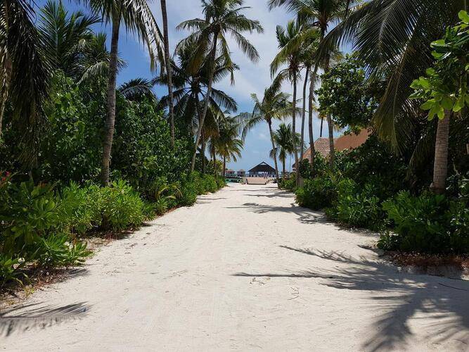 Cinnamon Velifushi Maldives