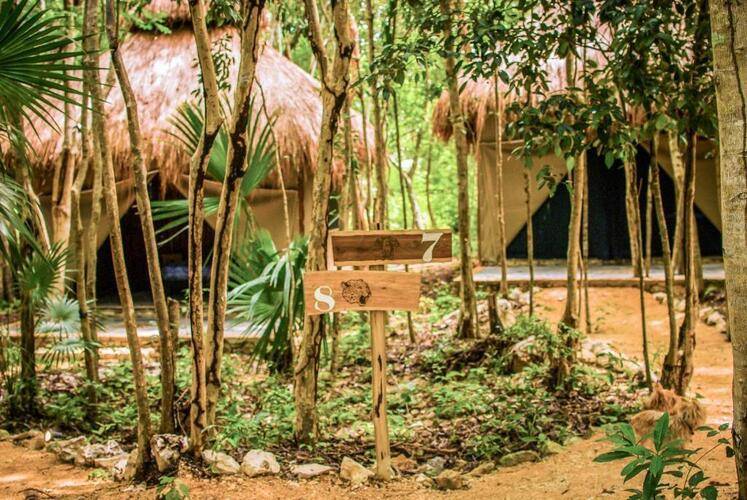 Akumal Natura Glamping