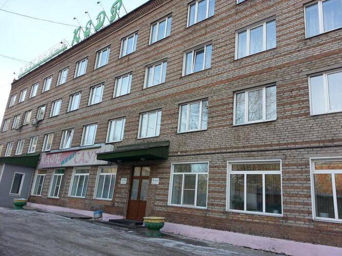 Кедр