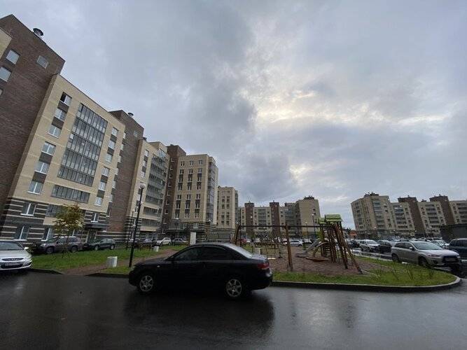 Студия Зеленая В Песочном