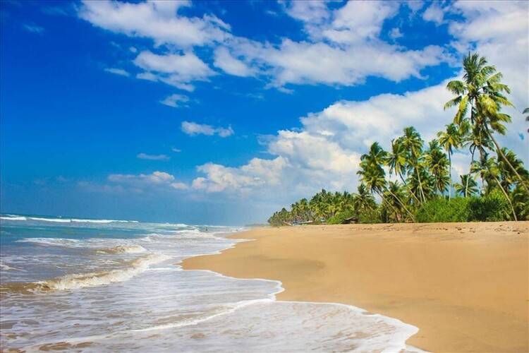 Oasis Wadduwa